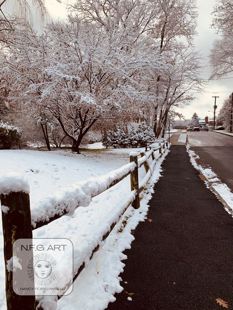 37. White Snow NY