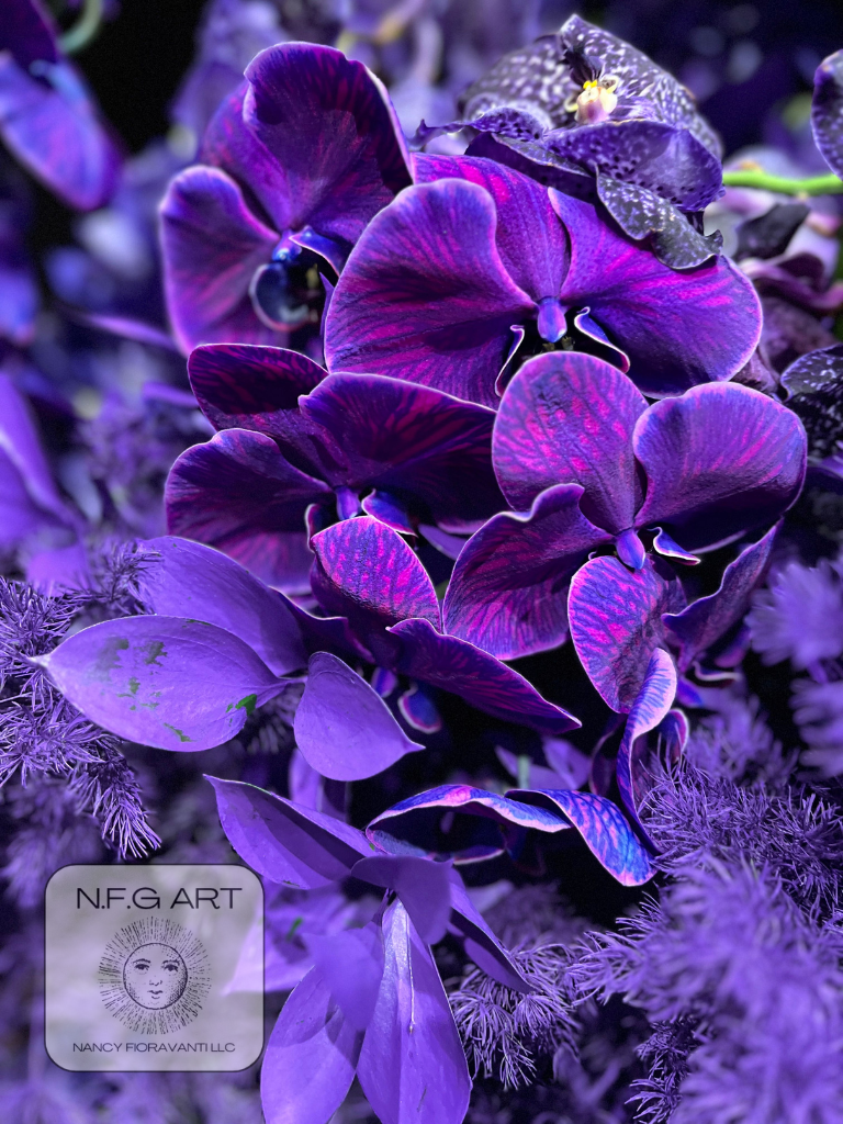 2. Purple Wonder
