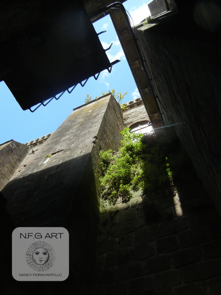 23. From Below FR